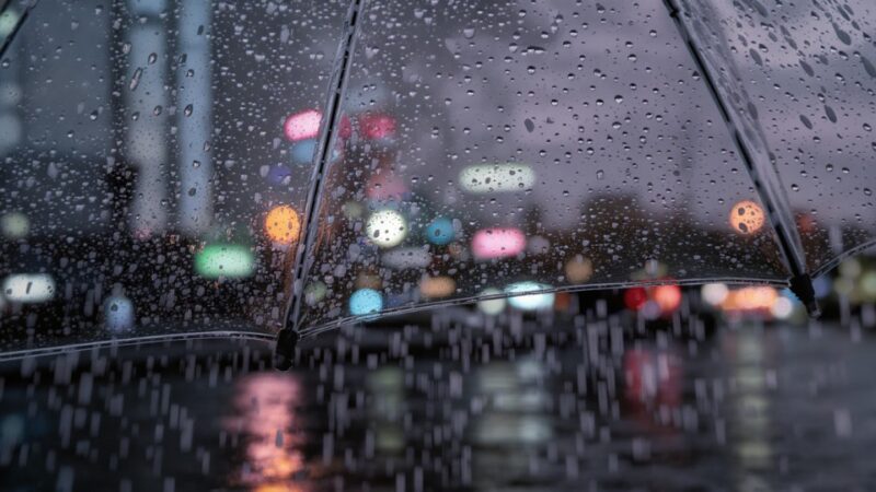 GĘSTA MGŁA NA HORYZONCIE – UWAŻAJ!