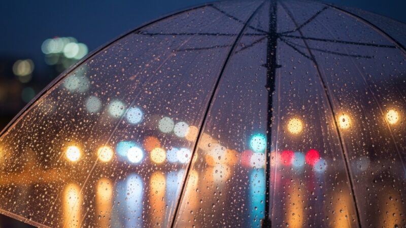 GĘSTE MGŁY NA HORYZONCIE: UWAŻAJ NA DROGACH!