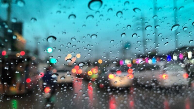 Uwaga! Nadciąga silny wiatr w Pułtusku