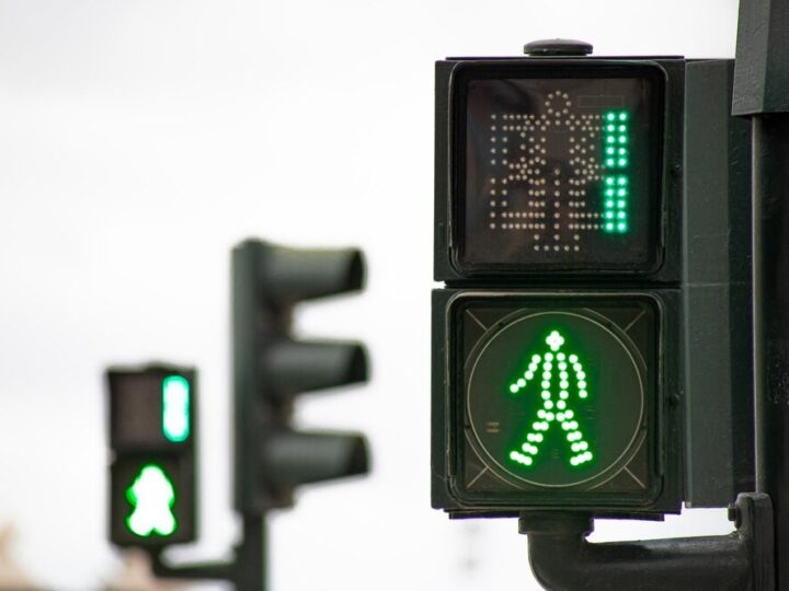 Uwaga na łosie! Policja ostrzega przed niebezpieczeństwami na drogach powiatu