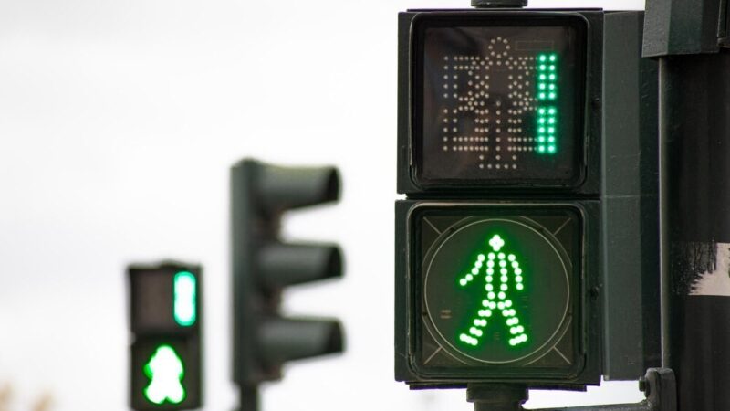 Uwaga na łosie! Policja ostrzega przed niebezpieczeństwami na drogach powiatu