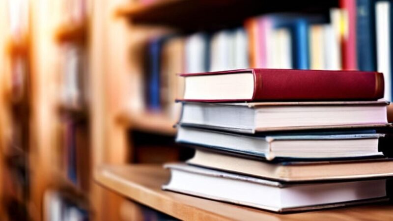 Ines Kruszka zachwyca w Pułtuskiej Bibliotece Publicznej