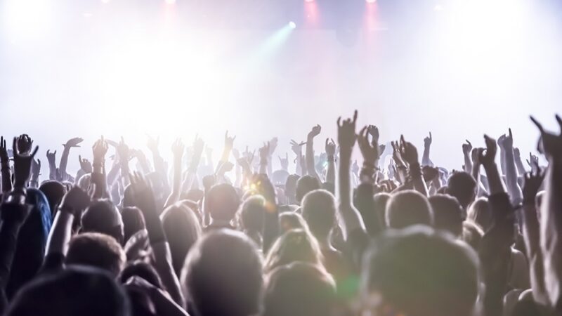 Kolorowy II Pułtuski Festiwal Roślin Ogrodowych za nami!