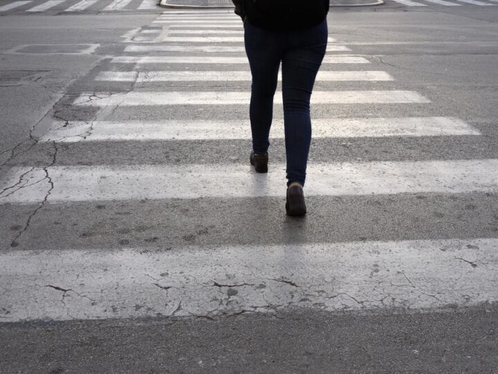 Kolizja z sarną na obwodnicy. Policja ostrzega kierowców!