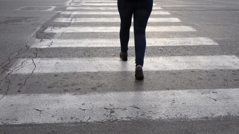 Kolizja z sarną na obwodnicy. Policja ostrzega kierowców!