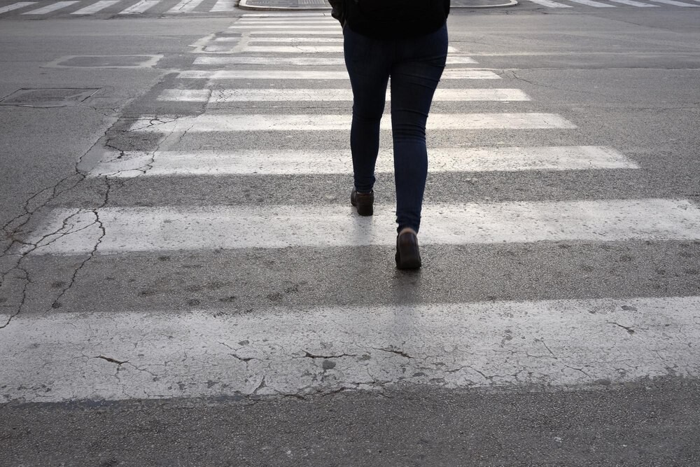 Kolizja z sarną na obwodnicy. Policja ostrzega kierowców!