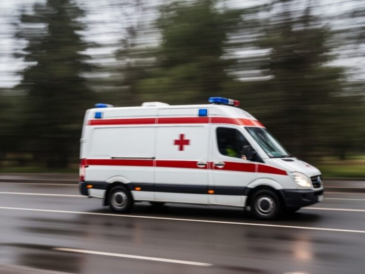 Pies tropiący uratował zaginionego 34-latka w Lutobroku
