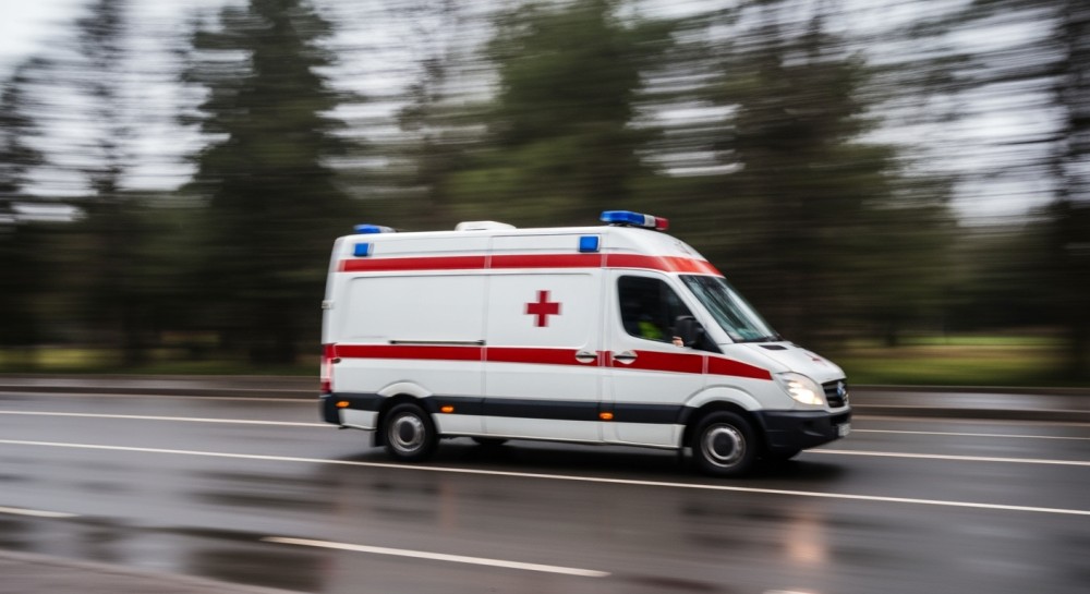 Pies tropiący uratował zaginionego 34-latka w Lutobroku
